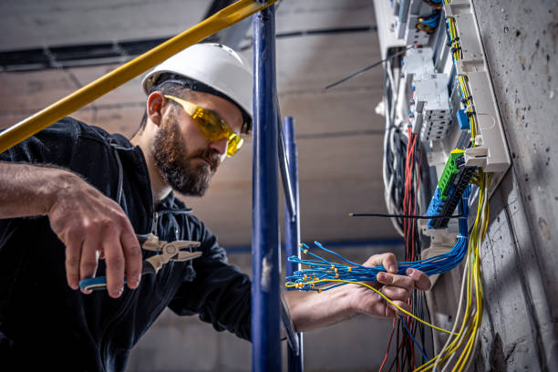 Best Ceiling Fan Installation Electrician  in Waynesboro, VA